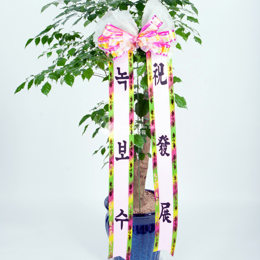 상세이미지