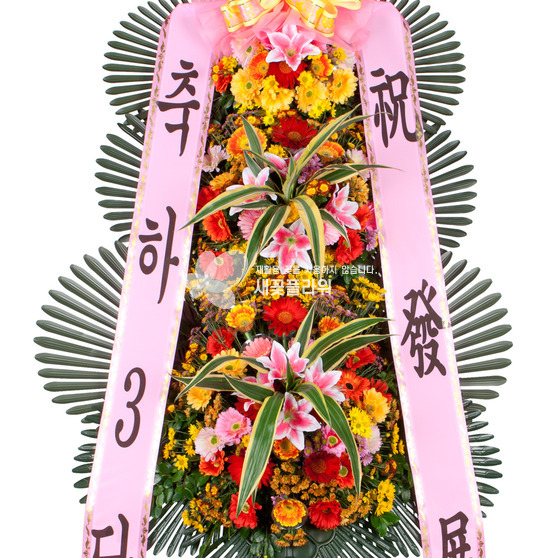 축하3단1