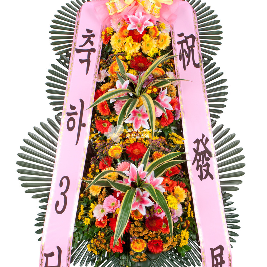 상세이미지