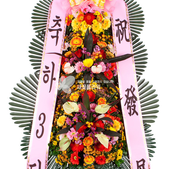 축하3단2