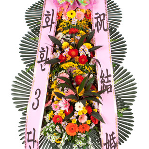 축하3단3