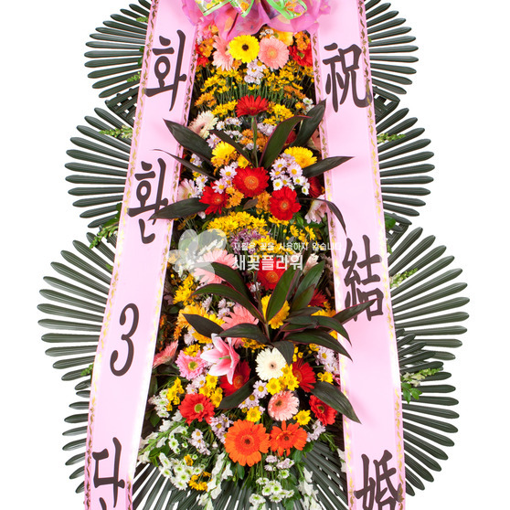축하3단3