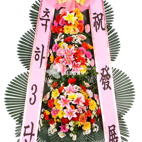 축하3단4