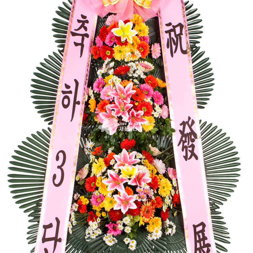 상세이미지
