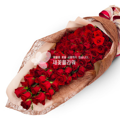 내사랑을담아(100송이)-3