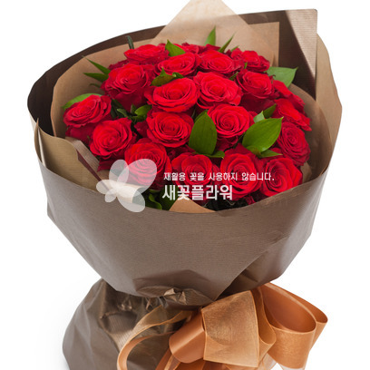 ★MD추천★레드홀릭3