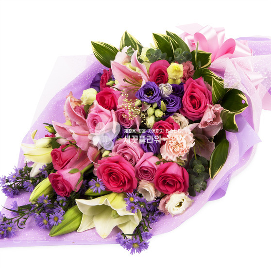축하해요♥