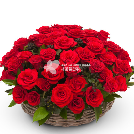 레드장미바구니