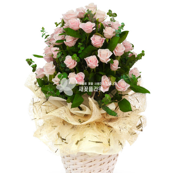 순수한마음