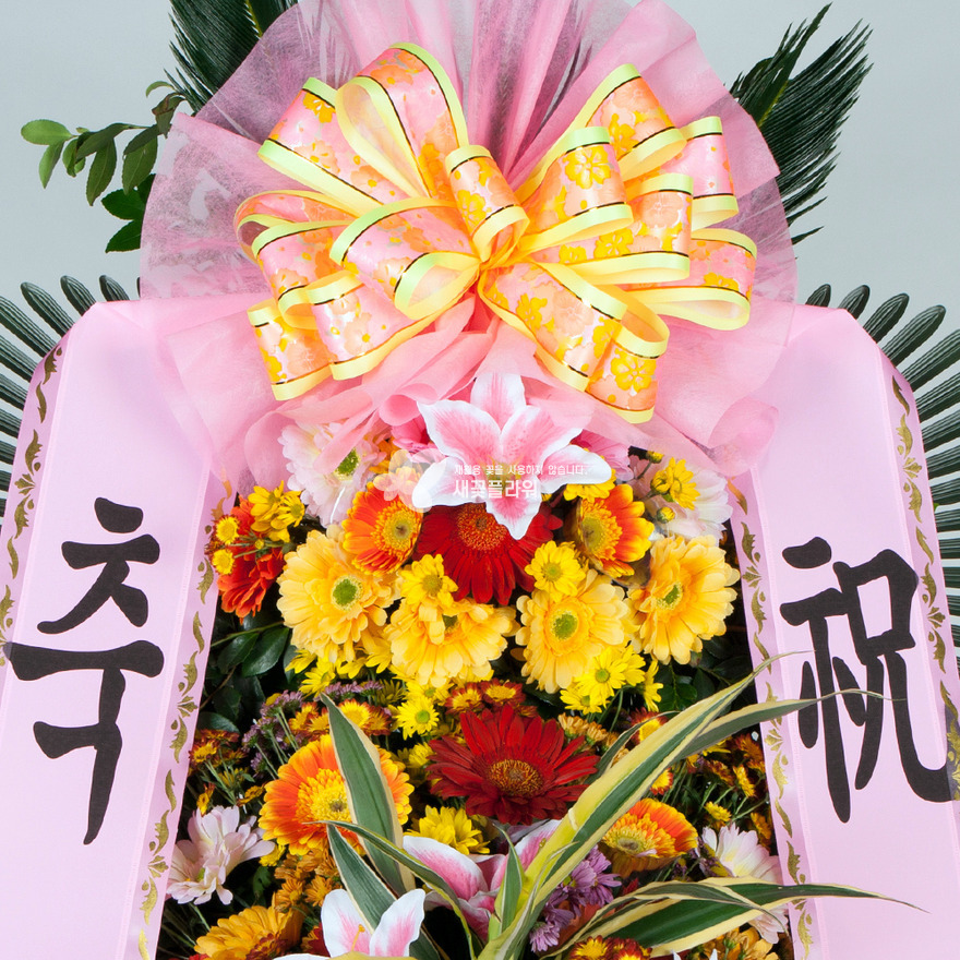 상세이미지