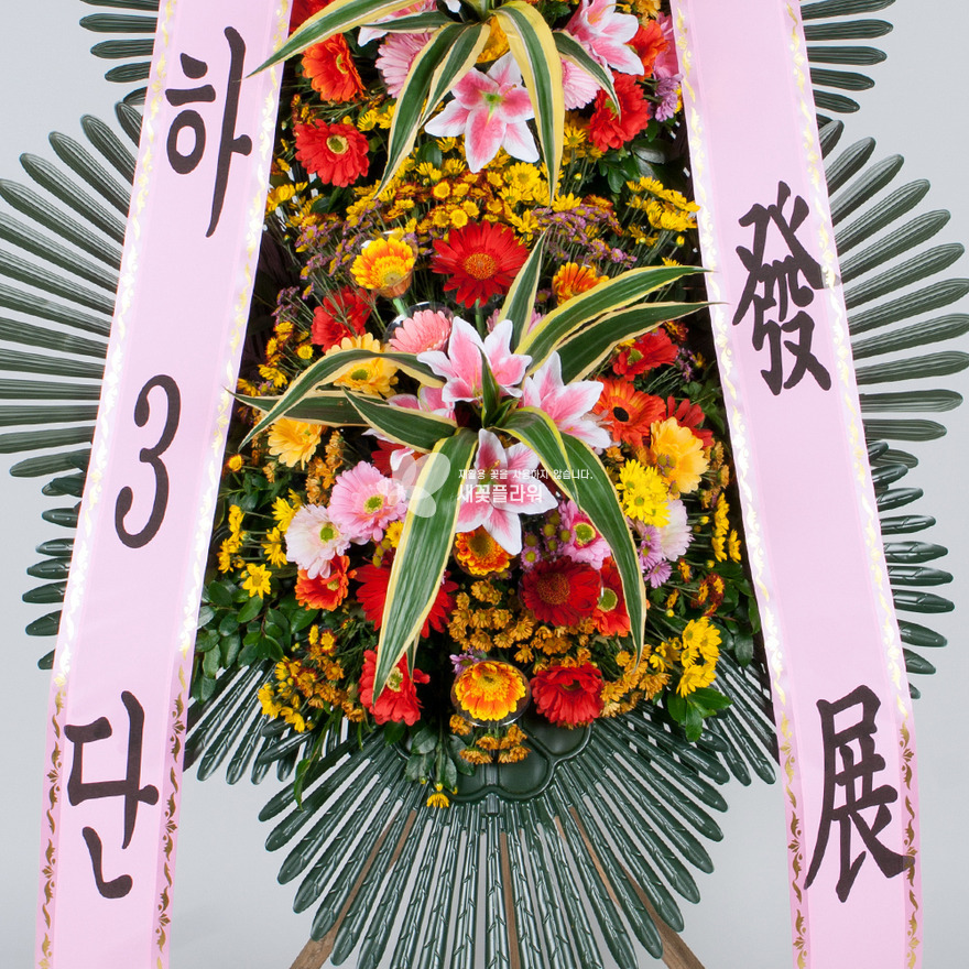 상세이미지