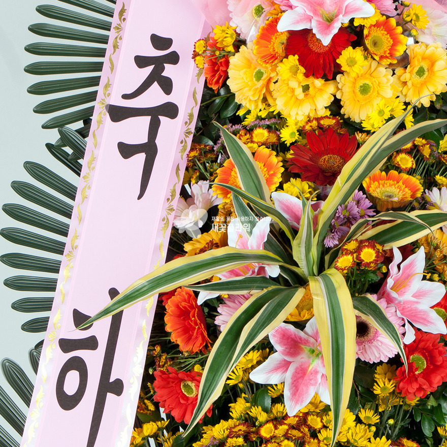 상세이미지