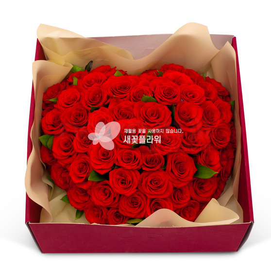 사랑의마력(빨강)