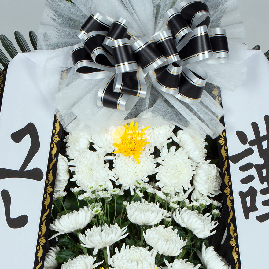 상세이미지