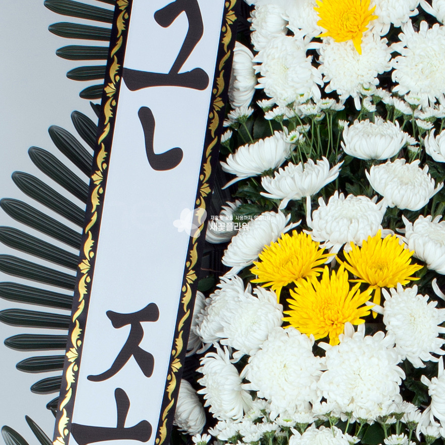 상세이미지