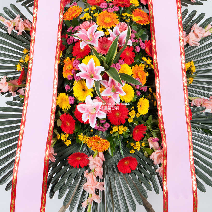 상세이미지