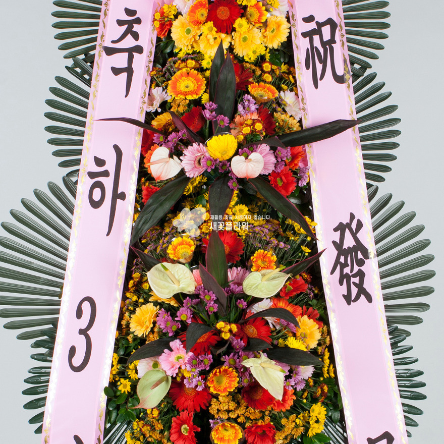 상세이미지