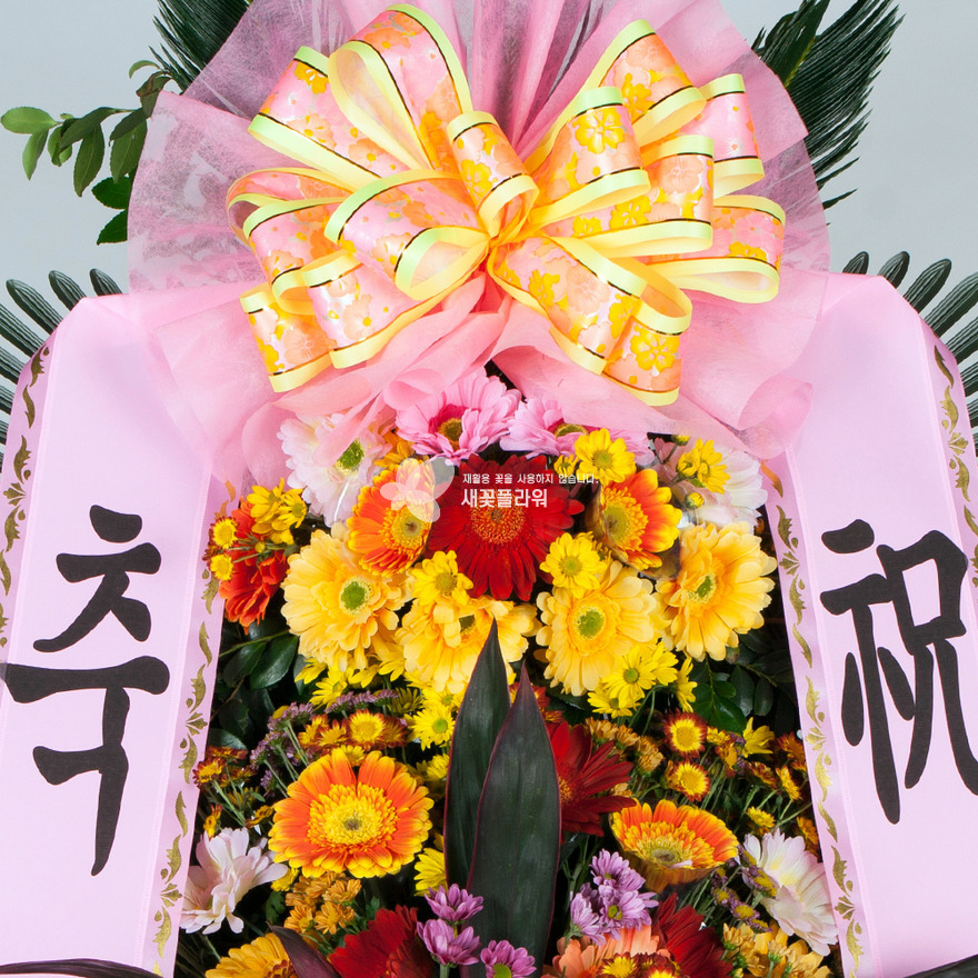 상세이미지