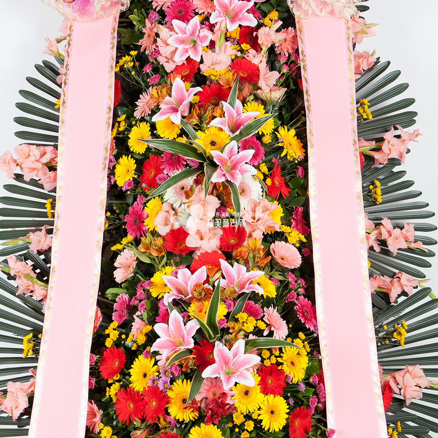 상세이미지