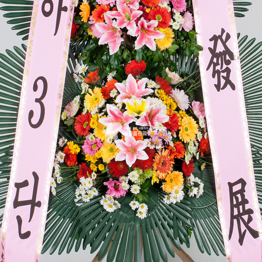 상세이미지
