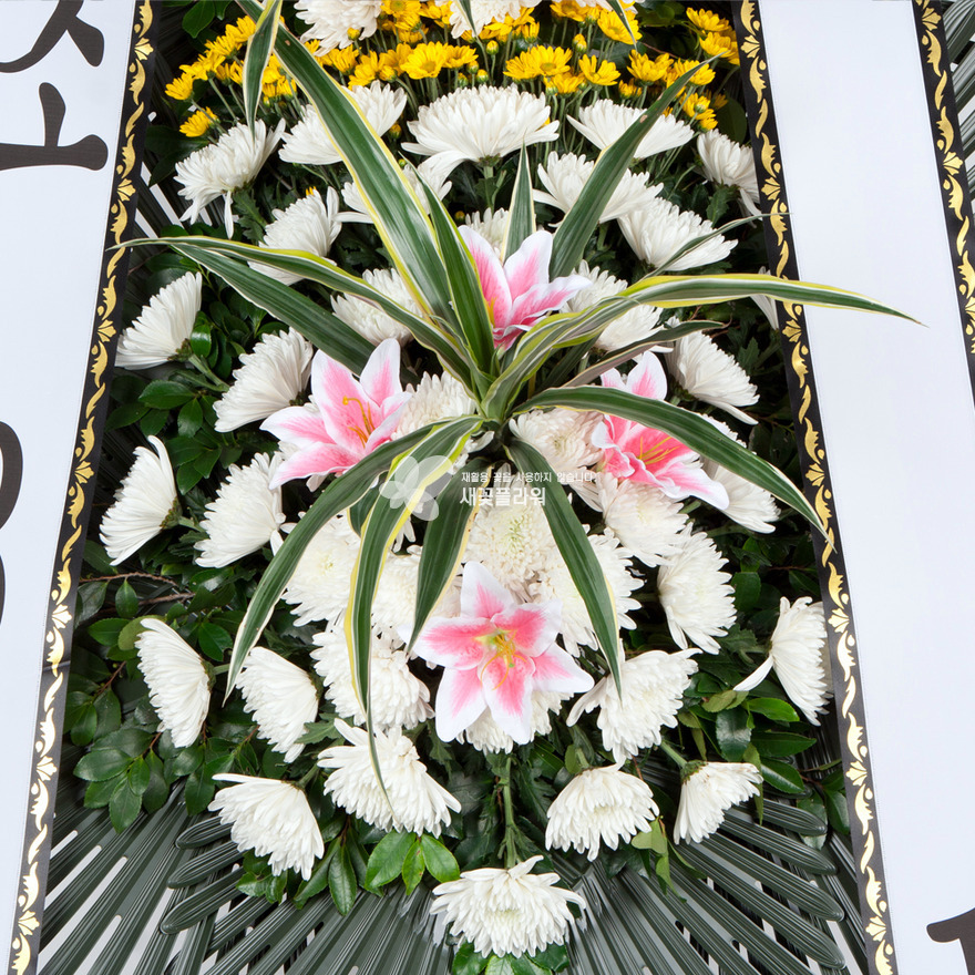 상세이미지