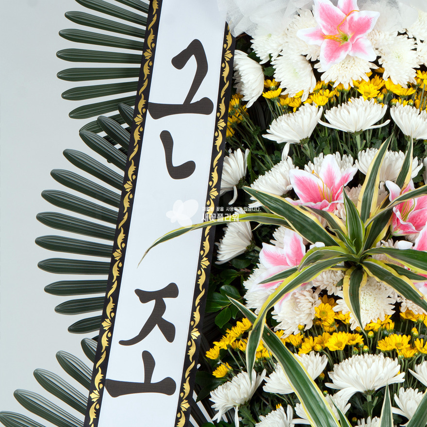 상세이미지
