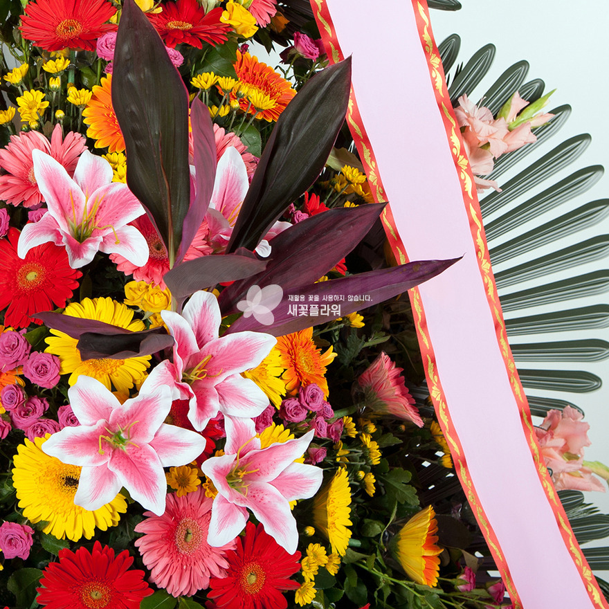 상세이미지