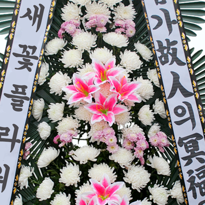 상세이미지