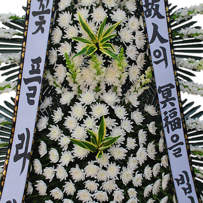 상세이미지