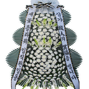★MD추천★추모1