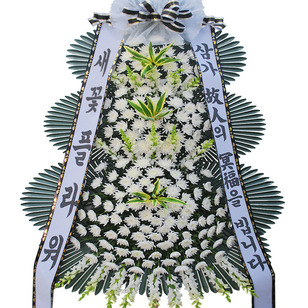 ★MD추천★추모2