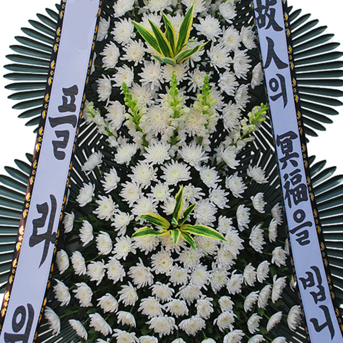 상세이미지