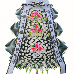 ★MD추천★추모4