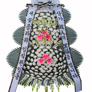 추모5