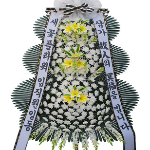 추모6