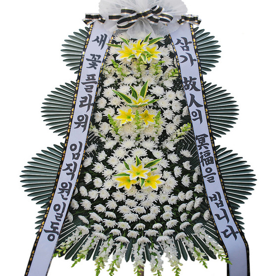 추모6