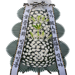추모신상4