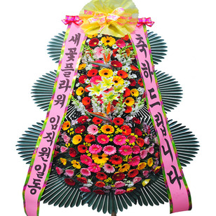 ★MD추천★축하15
