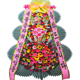 ★MD추천★축하16