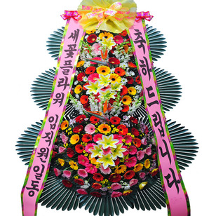 ★MD추천★축하17