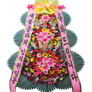 ★MD추천★축하7
