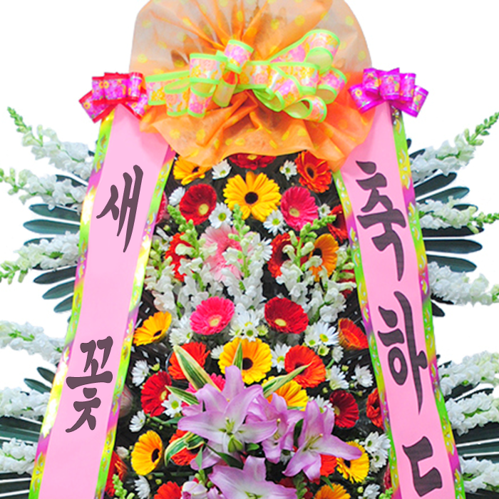 상세이미지