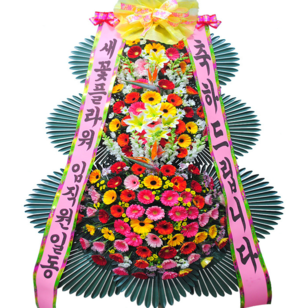 축하드립니다4
