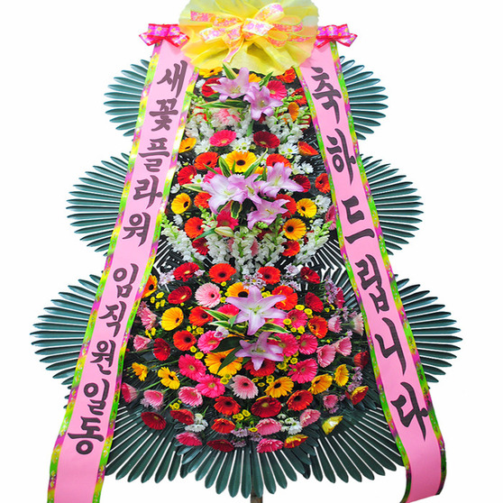 축하드립니다3