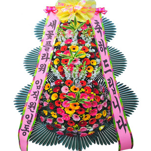 축하드립니다2