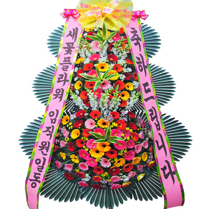 축하드립니다2