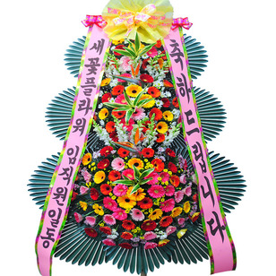 축하드립니다1