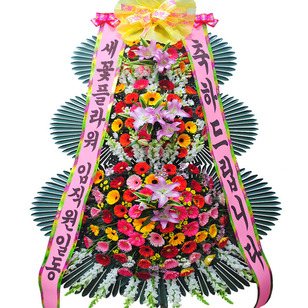 축하신상7