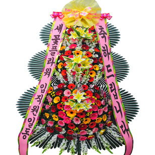 축하신상6