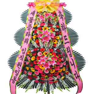 축하신상5